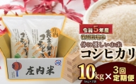 【令和5年産】 庄内産 特別栽培米 体に優しいお米・こしひかり10kg（5kg×2）【3回定期便】