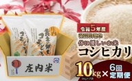 【令和5年産】 庄内産 特別栽培米 体に優しいお米・こしひかり10kg（5kg×2）【6回定期便】
