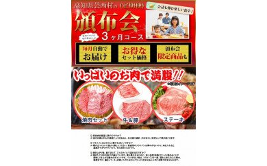 定期便 肉 お楽しみ 南国土佐のお肉満腹3ヶ月コース 96995 - 高知県芸西村