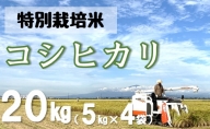 米蔵いいの特別栽培米コシヒカリ20kg（5kg×4袋）