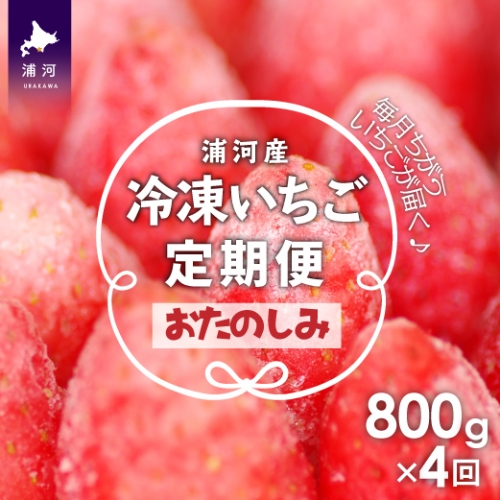 北海道浦河産 冷凍いちご(800g×1P) お楽しみ定期便(全4回)[B13-881] 97036 - 北海道浦河町