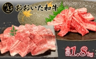 【A01128】厳選A4～A5等級 おおいた和牛 中落ちカルビ・肩ロース焼肉用セット 合計1.8kg