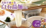 たれで食べる白石温麺(うーめん) 3箱(6食分)入【05167】