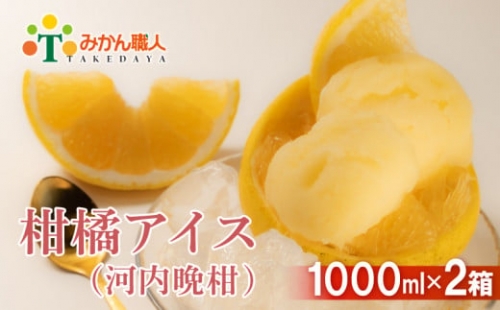 みかん職人が作った柑橘アイス1000ml×2（河内晩柑×２） 970772 - 愛媛県愛南町