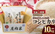 【令和5年産】 庄内産 特別栽培米 体に優しいお米・こしひかり10kg（5kg×2）
