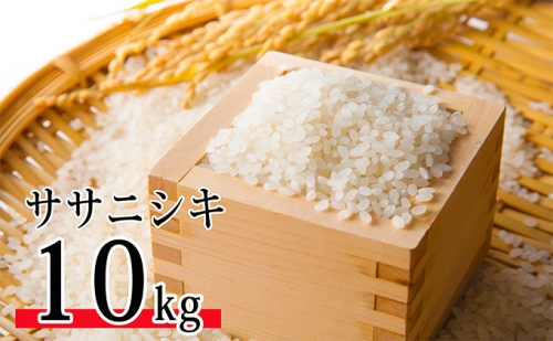令和2年産 郷の有機使用特別栽培米 ササニシキ 10kg | au PAY ふるさと納税