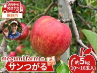 【9月中旬発送】青森県鰺ヶ沢町産りんご megumi farmのサンつがる 家庭用 約5kg（10～16玉入）