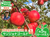 【10月中旬クール便発送】青森県鰺ヶ沢町産りんご megumi farmのサンジョナゴールド 家庭用 約5kg（10～16玉入）