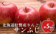 ＜2022年12月初旬頃よりお届け＞北海道壮瞥産りんご サンふじ 約5kg(16～20玉)【ご家庭用】