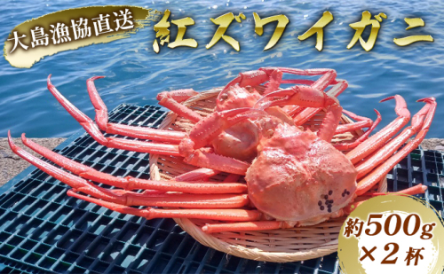 数量限定！福井県の大島漁協直送【ボイル冷凍】ベニズワイガニ（約500g）×2杯 魚介類 蟹 カニ ずわい蟹 ずわいガニ  97158 - 福井県おおい町