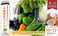 【有機JAS認定】【4ヶ月定期便】 季節の野菜詰め合わせ ～有機野菜セットA～