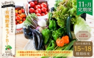 【有機JAS認定】【11ヶ月定期便】 季節の野菜詰め合わせ ～有機野菜セットB～
