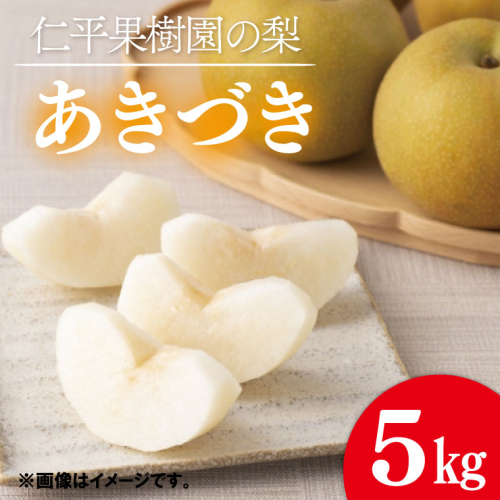 ★先行予約★ 【2026年9月発送】仁平果樹園の梨 「あきづき」5kg (8個～14個)(9月中旬より順次配送) | 果物 新鮮 フルーツ ギフト 梨 ナシ 益子町産梨 甘い あまい 糖度11.5以上 糖度保証 果汁 果肉 栃木県 益子町 (DB003) 972163 - 栃木県益子町