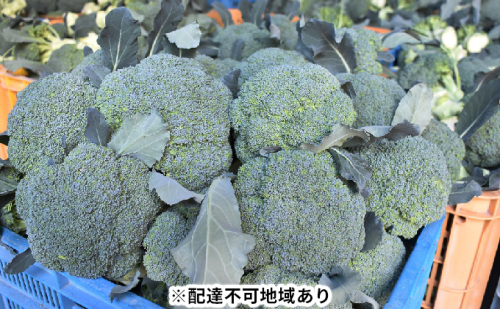 ふじもとファームの新鮮ブロッコリー 約1.8kg(6~8個) | au PAY ふるさと納税