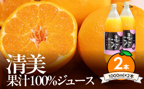 ZE6406n_【まごころ搾りたて】清見 100%ジュース 1000ml 2本 972389 - 和歌山県湯浅町