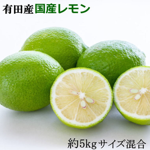 ZD6706n_有田産の安心国産レモン約5kg （サイズ混合） 972445 - 和歌山県湯浅町