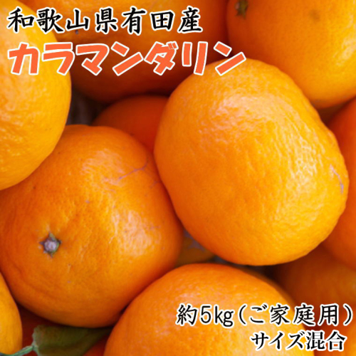 ZD6705n_【2026年先行予約】【春みかん】和歌山県有田産カラマンダリン約5kg（サイズ混合　ご家庭用） 972471 - 和歌山県湯浅町