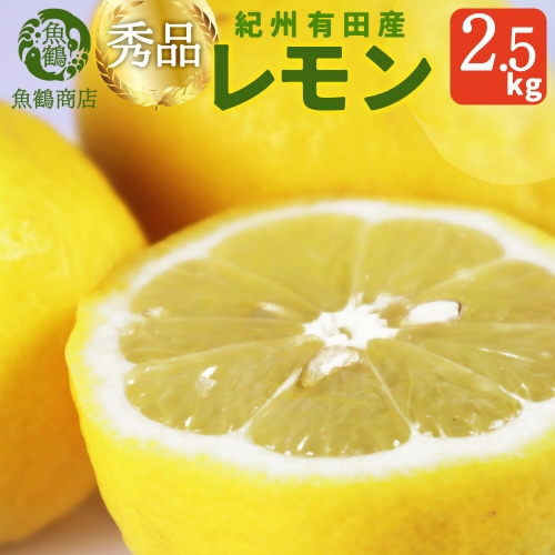 G7068_【先行予約】秀品 紀州有田産レモン 2.5kg 972516 - 和歌山県湯浅町