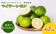 【2023年発送】マイヤーレモン （島レモン）約2kg