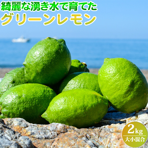 EA6042n_綺麗な湧き水で育てた グリーンレモン 2kg (大小混合) 973991 - 和歌山県湯浅町