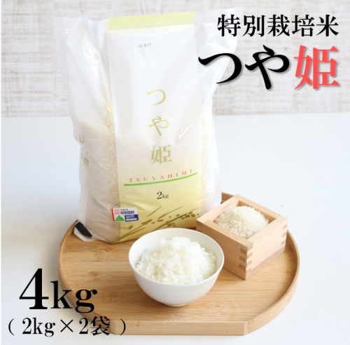 【精米】竹原田ファームのつや姫4kg（2kg×2） 973995 - 山形県三川町