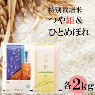 【精米】竹原田ファームのつや姫2kgとひとめぼれ2kgの味くらべ