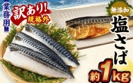 【訳あり規格外】 業務用 無添加 塩さば 1kg 鯖 さば 塩サバ 干物 魚