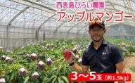 【2022年発送】西表島ひらい農園の アップルマンゴー 約1.5kg（3玉～5玉）