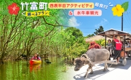 西表半日 アクティビティ＆竹富島で水牛車観光（昼食付）