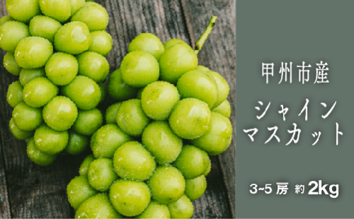 甲州シャインマスカット『果汁滴るフルーツの王様』約2kg 3～5房【2025年発送】（SHP）C-476 【シャインマスカット 葡萄 ぶどう ブドウ 令和7年発送 期間限定 山梨県産 甲州市 フルーツ 果物】 975269 - 山梨県甲州市