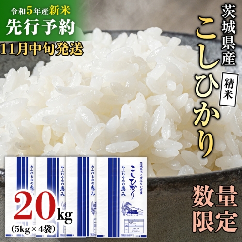 Ｈ29年産こしひかり、白米(無洗米)20kg米/穀物