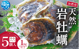 【発送期日】2025年4月1日より順次発送いたします。【内容量】SSサイズ5個 ※1個当たり200g〜299g【賞味期限】生もののため、お早めにお召し上がりください。&starf;ご注意くださ