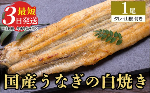 うなぎ白焼き　1尾（120g以上×1尾） | メディアに紹介されたうなぎ屋 国産 冷蔵 うなぎ 鰻 ウナギ タレ・山椒つき しら焼き※着日指定不可※離島への配送不可