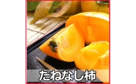 タネなし脱渋甘柿（刀根早生）　3Ｌサイズ28個入7.5kg箱【art021】