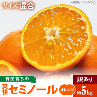 AB7104n_（先行予約）有田育ちの爽快 セミノール オレンジ（訳あり 家庭用）5kg