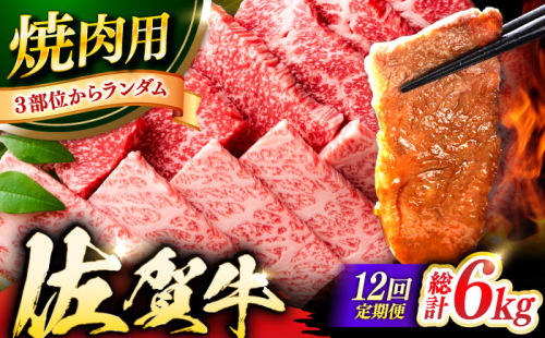 【12回定期便】 艶さし！ 佐賀牛 焼肉用 計6kg （500g×12回）  ※バラ・肩ロース・モモのいずれの部位※ 吉野ヶ里町 [FDB035] 976248 - 佐賀県吉野ヶ里町
