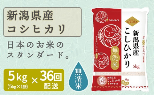新潟県産コシヒカリ 無洗米 5kg ※36回定期便 安心安全なヤマトライス H074-232 97626 - 愛知県碧南市