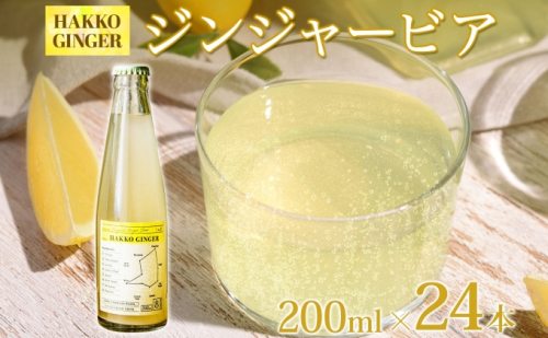 北海道 自家製 ジンジャービア 200ml×24本 HAKKO GINGER 発酵 ジンジャー ビール 生姜 レモン 辛口 ノンアルコール 炭酸 ヘルシー 野菜飲料 野菜ジュース 飲料類 炭酸飲料  97633 - 北海道倶知安町