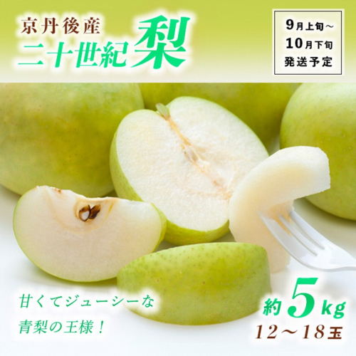 【先行予約】甘～ぃ！ジューシー！！青梨の王様 京丹後産 二十世紀梨5kg（12～18玉）（2026年9月上旬～発送） 976387 - 京都府京丹後市