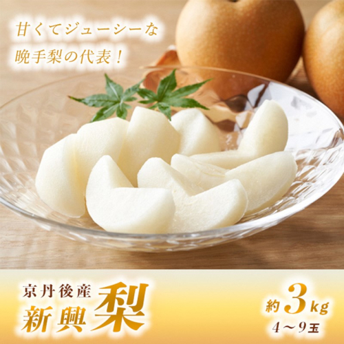 【先行予約】甘～ぃ！ジューシー！！晩生梨の代表 京丹後産 新興梨 3kg（4～9玉）（2025年10月中旬～発送） 976389 - 京都府京丹後市