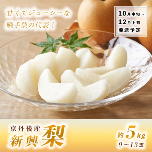 【先行予約】甘～ぃ！ジューシー！！晩生梨の代表 京丹後産 新興梨 5kg（9～13玉）（2025年10月中旬～発送） 976390 - 京都府京丹後市