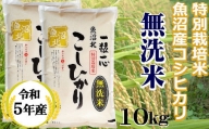 r05-20-3G 【令和5年産】【無洗米】特別栽培米 魚沼産コシヒカリ 10kg（5㎏×2袋）（(有)グリーン）白米 魚沼 米