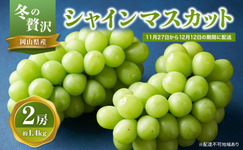 【2026年先行予約】 ぶどう 冬の贅沢 シャインマスカット 2房(1.4kg以上：1房700g以上×2箱）【11月20日から12月12日の期間に発送】 葡萄 ブドウ 岡山県産 フルーツ 果物 数量限定 期間限定 岡山 里庄町  976946 - 岡山県里庄町