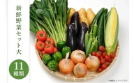 新鮮野菜セット大（11種類）