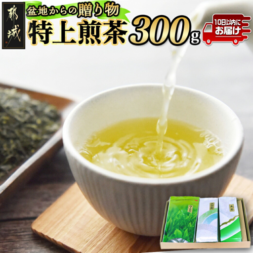 盆地からの贈り物 特上煎茶セット≪みやこんじょ特急便≫_AA-4801-Q 977545 - 宮崎県都城市