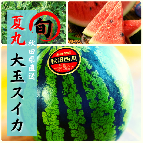 すいか 秋田県産 大玉スイカ 夏丸 家庭 ギフト 旬 夏 贈答 1玉 風物詩[B3-9903] 977598 - 秋田県湯沢市