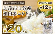 [令和7年産][定期便12ヶ月毎月お届け]七谷産 棚田米コシヒカリ 精米 20kg(5kg×4)[順次出荷]白米 (株)ライスグローワーズ 新潟県 加茂市産 白米 米 お米 定期便
