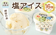 158-883 綿田の米 塩アイス 16個 セット アイス アイスクリーム デザート お米アイス