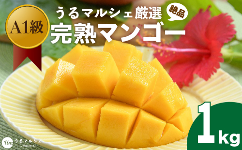 A1ランク　絶品！甘くてジューシーうるマルシェの贈答用完熟マンゴー 1kg 977697 - 沖縄県うるま市
