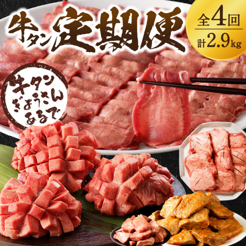 牛タン定期便【全4回】《 牛タン タン 厳選 定期便 牛肉 牛 焼肉 BBQ お取り寄せグルメ 食品 バーベキュー 送料無料　お取り寄せ 》【2410A99803】 977700 - 兵庫県加古川市